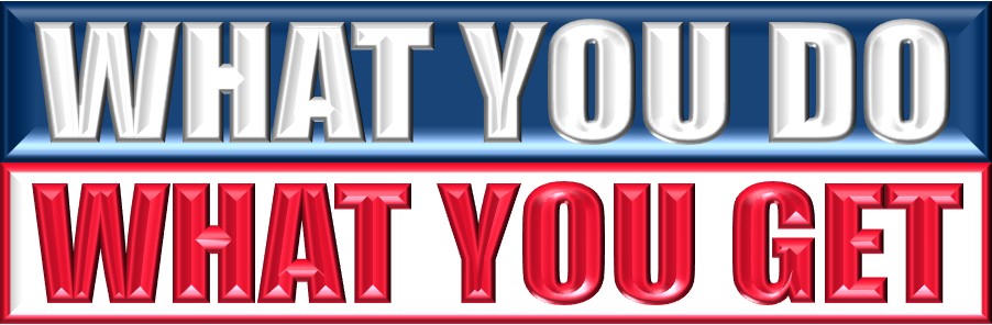 WHAT YOU DO WHAT YOU GET