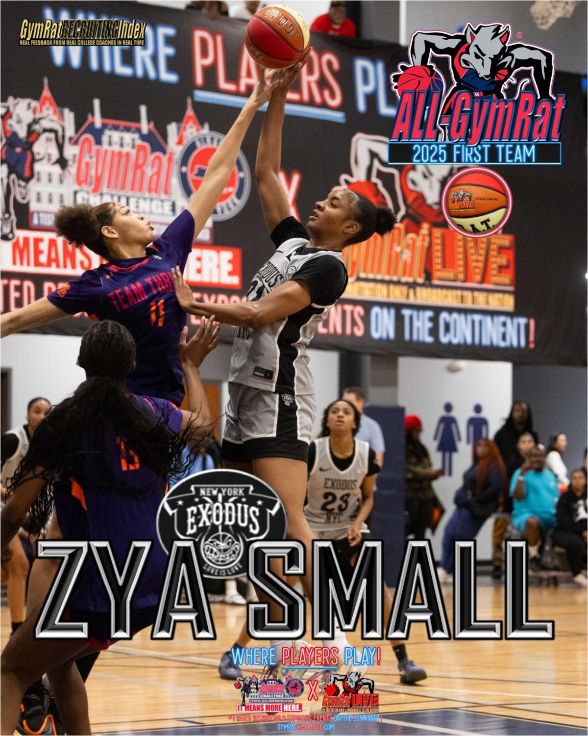 ZYA SMALL-Exodus-2027